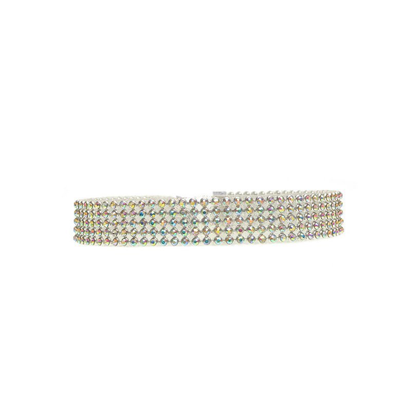 Rhinestone Choker Necklace